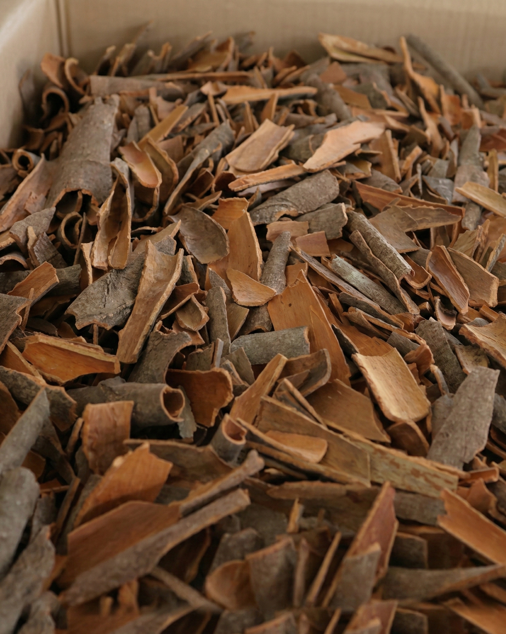 Broken cassia cinnamon pieces suitable for grinding or industrial use