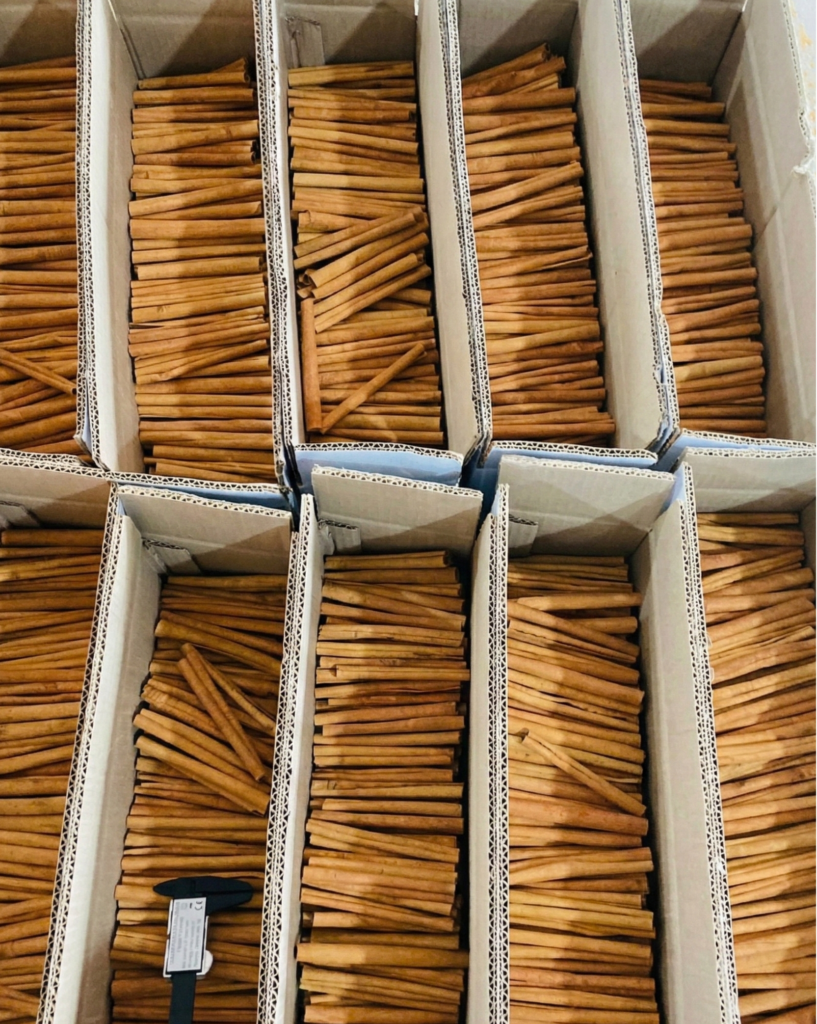 Cassia stick cinnamon packed in export cartons