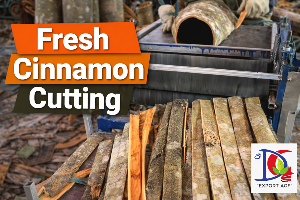 20 11 28 2 thg 3, 2026