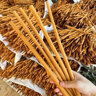 480896768 1845740442855580 2761351892156093688 n copy