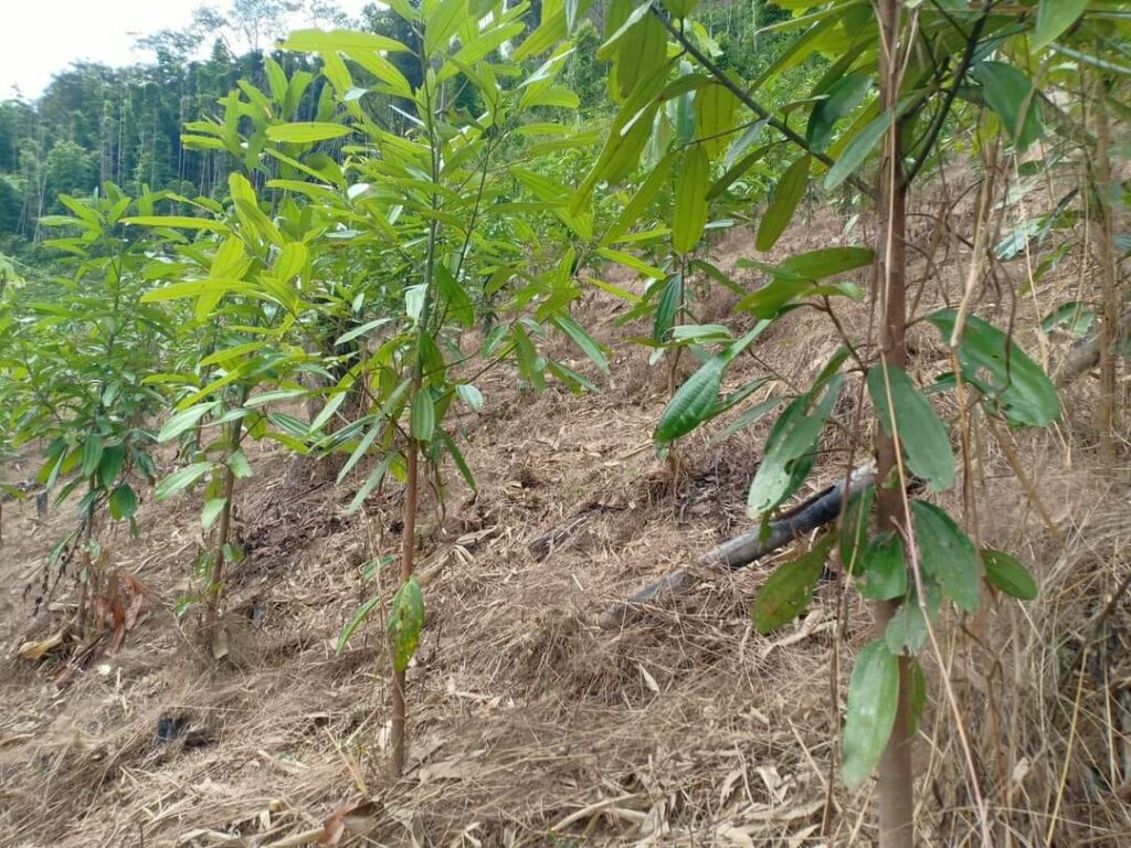 481074088 590310043991572 7319748068355247668 n