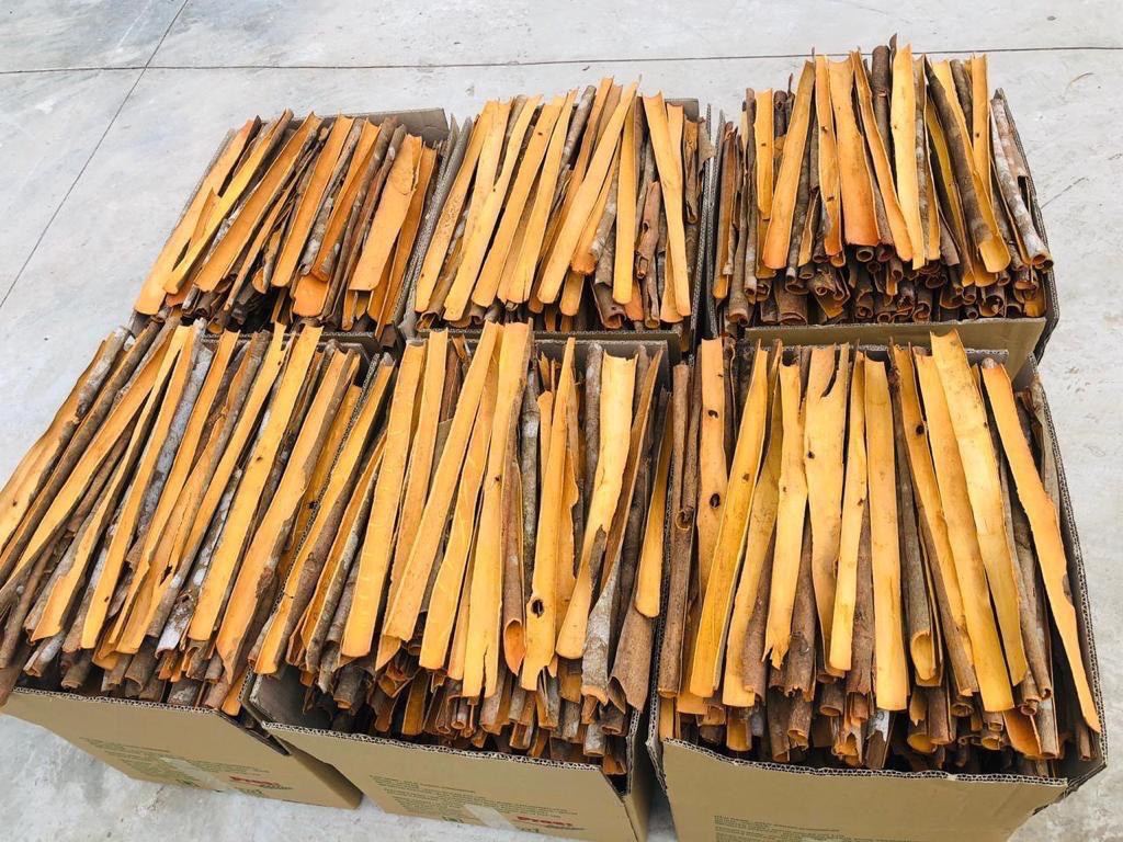 483370433 1354474965732922 6540690852674805642 n