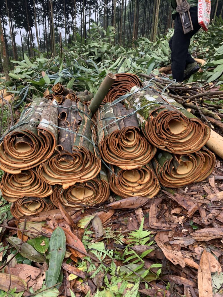 492261713 3886319048364533 5057065213282332960 n