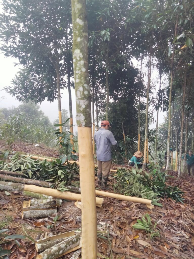 492410056 1196091475561299 7827202769767126820 n