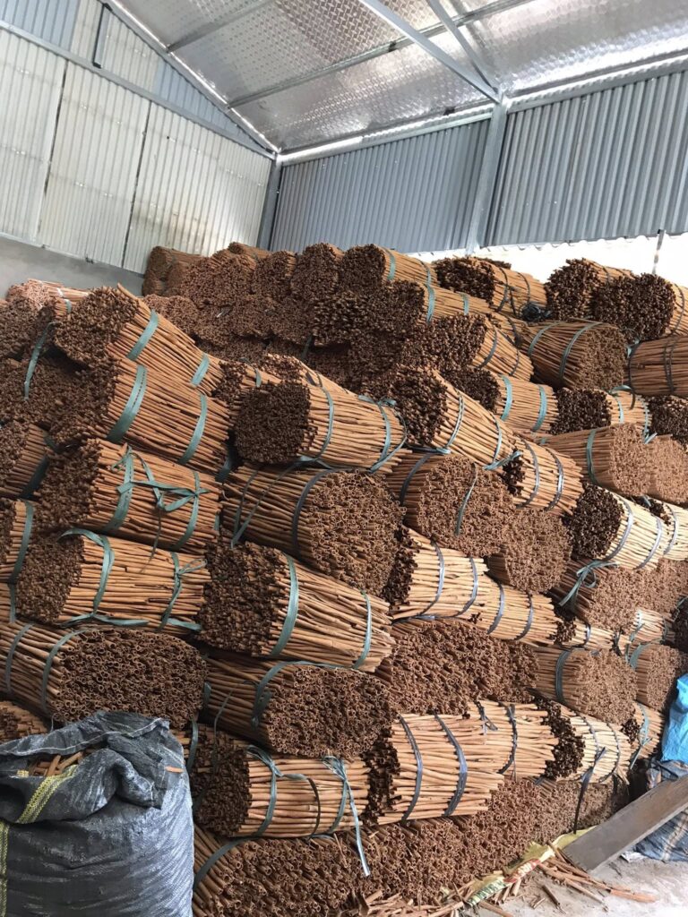 515105600 4220140868308840 1993480177849908189 n